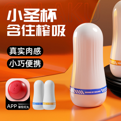 GK24160-0R 小圣杯